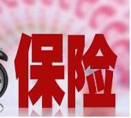 保险服务2